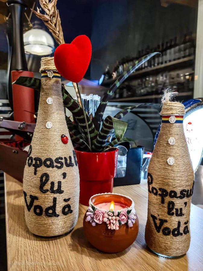 Popasul Lu' Voda Борша Екстер'єр фото